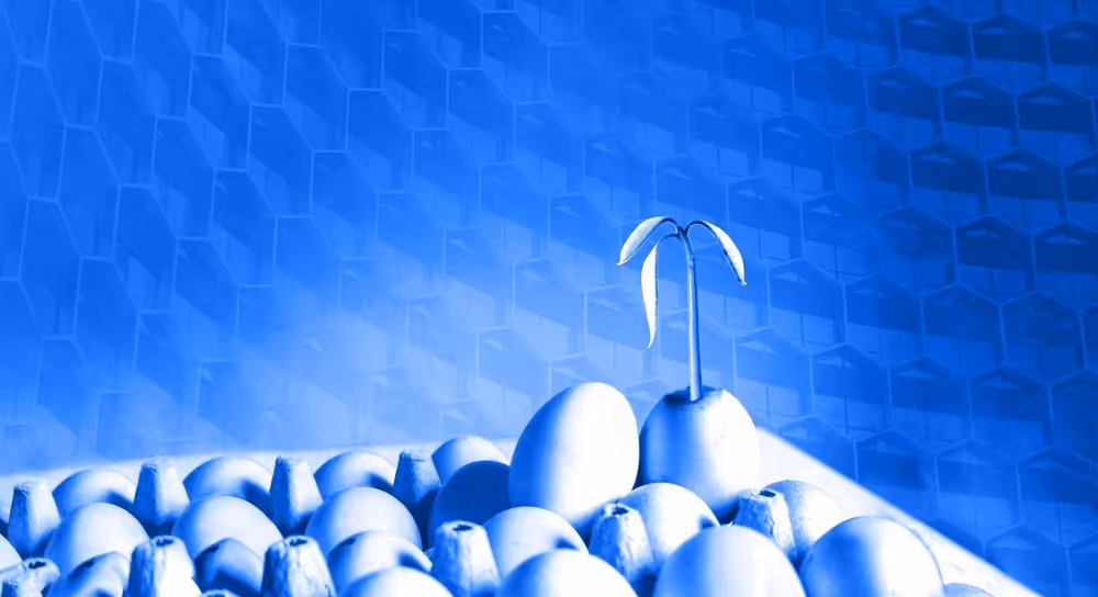 TZ APAC Announces 'EGG' Web3 Incubator for Asia Pacific-based Teams image 1