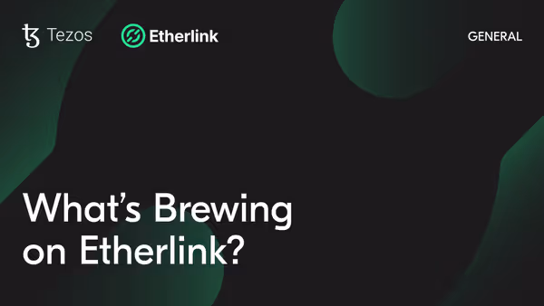 Tz Etherlink 1920x1080px Blog