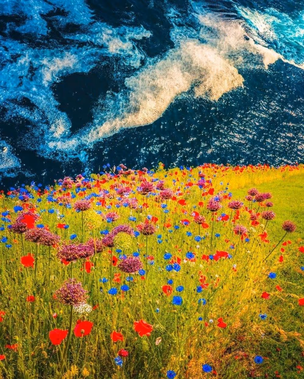 Highlighting the BREATHE! 2023 Convention, image 6